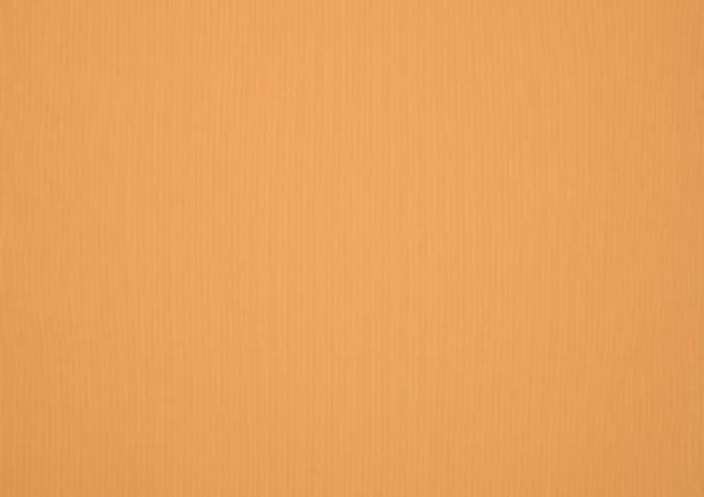 Orchestra Miel Pique